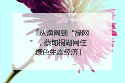 从渔网到“绿网”，蔡甸桐湖网住绿色生态经济