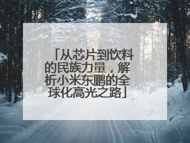 从芯片到饮料的民族力量，解析小米东鹏的全球化高光之路