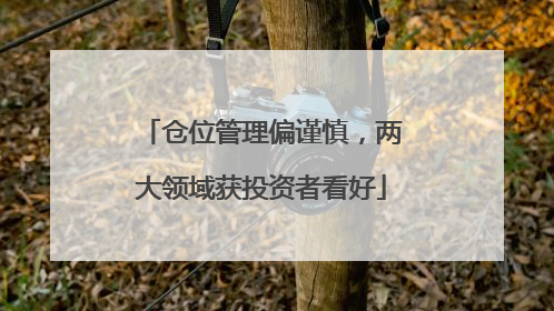 仓位管理偏谨慎，两大领域获投资者看好