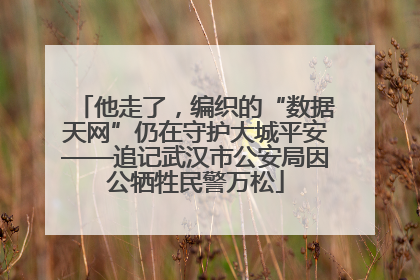 他走了，编织的“数据天网”仍在守护大城平安——追记武汉市公安局因公牺牲民警万松