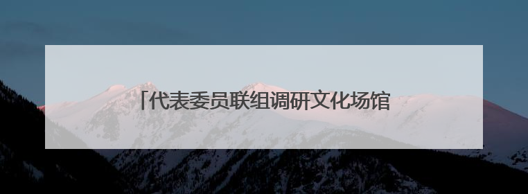 代表委员联组调研文化场馆 共商公共服务提质路径