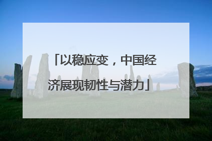以稳应变,中国经济展现韧性与潜力