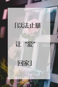 以法止暴 让“爱”回家