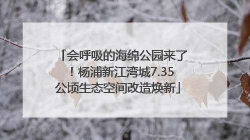 会呼吸的海绵公园来了！杨浦新江湾城7.35公顷生态空间改造焕新