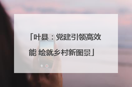 叶县：党建引领高效能 绘就乡村新图景