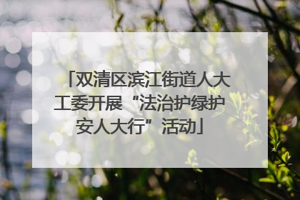 双清区滨江街道人大工委开展“法治护绿护安人大行”活动