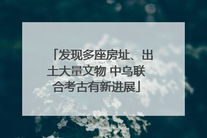 发现多座房址、出土大量文物 中乌联合考古有新进展