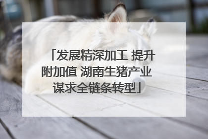 发展精深加工 提升附加值 湖南生猪产业谋求全链条转型