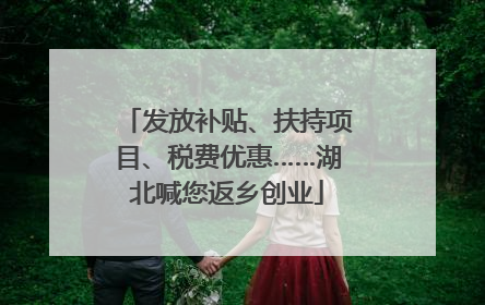 发放补贴、扶持项目、税费优惠……湖北喊您返乡创业