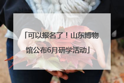可以报名了！山东博物馆公布6月研学活动