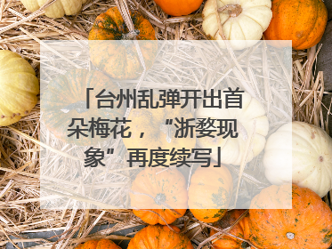 台州乱弹开出首朵梅花，“浙婺现象”再度续写