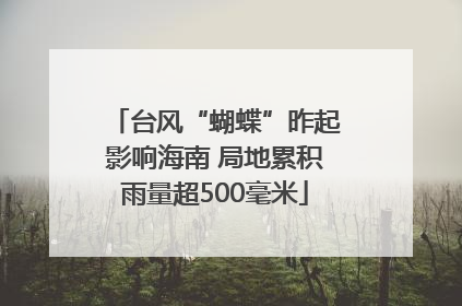 台风“蝴蝶”昨起影响海南 局地累积雨量超500毫米