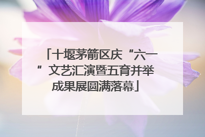 十堰茅箭区庆“六一”文艺汇演暨五育并举成果展圆满落幕