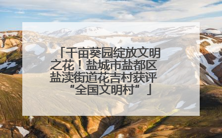 千亩葵园绽放文明之花！盐城市盐都区盐渎街道花吉村获评“全国文明村”