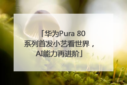 华为Pura 80系列首发小艺看世界，AI能力再进阶