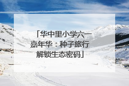 华中里小学六一嘉年华：种子旅行解锁生态密码