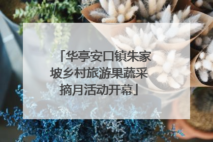 华亭安口镇朱家坡乡村旅游果蔬采摘月活动开幕