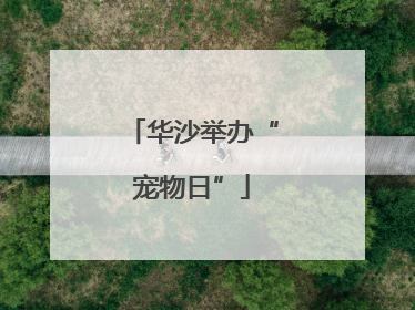 华沙举办“宠物日”