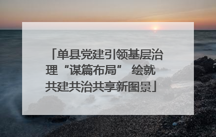 单县党建引领基层治理“谋篇布局” 绘就共建共治共享新图景