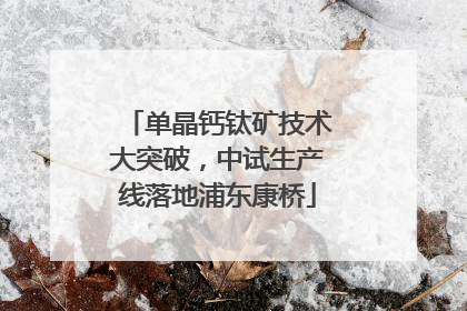 单晶钙钛矿技术大突破，中试生产线落地浦东康桥