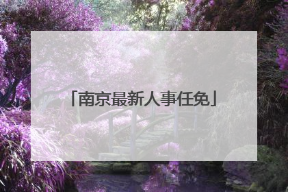 南京最新人事任免