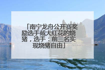 南宁龙舟公开赛奖励选手戴大红花的烧猪，选手：前三名实现烧猪自由