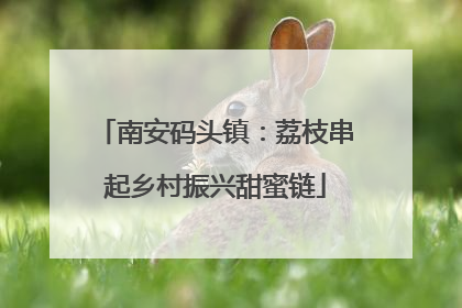 南安码头镇：荔枝串起乡村振兴甜蜜链