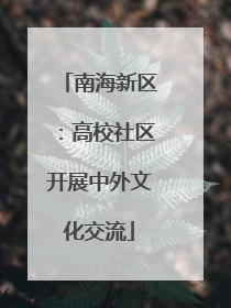 南海新区：高校社区开展中外文化交流