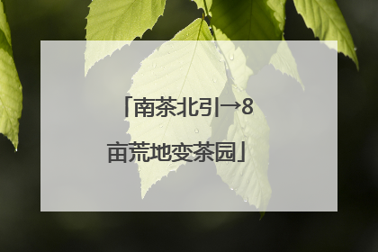 南茶北引→8亩荒地变茶园