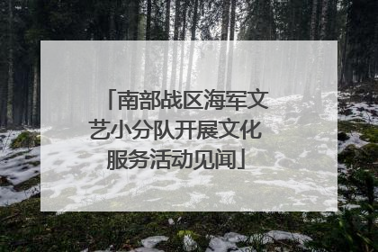 南部战区海军文艺小分队开展文化服务活动见闻