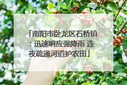 南阳市卧龙区石桥镇：迅速响应强降雨 连夜疏通河道护农田