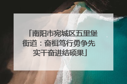 南阳市宛城区五里堡街道：奋楫笃行勇争先 实干奋进结硕果