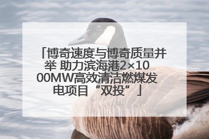 博奇速度与博奇质量并举 助力滨海港2×1000MW高效清洁燃煤发电项目“双投”