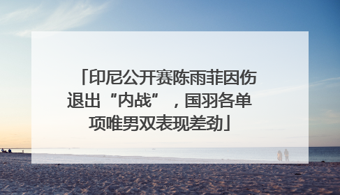 印尼公开赛陈雨菲因伤退出“内战”，国羽各单项唯男双表现差劲