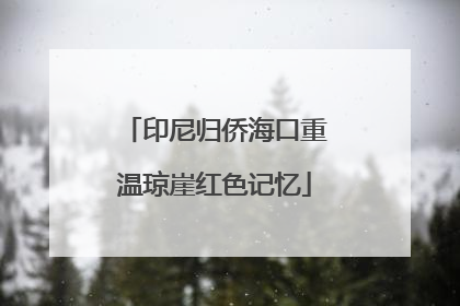 印尼归侨海口重温琼崖红色记忆