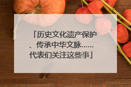 历史文化遗产保护、传承中华文脉……代表们关注这些事