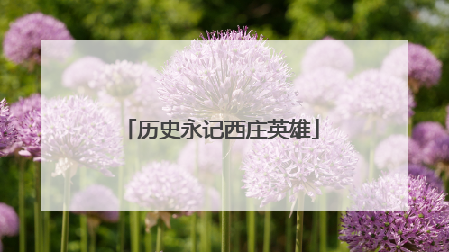 历史永记西庄英雄