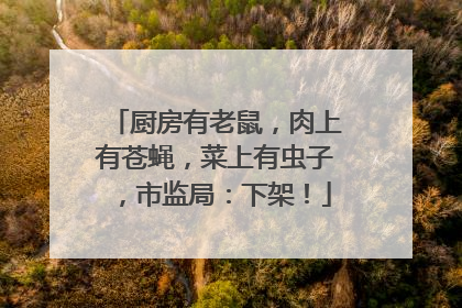 厨房有老鼠，肉上有苍蝇，菜上有虫子，市监局：下架！