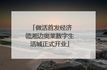 做活首发经济 赣湘边奥莱数字生活城正式开业