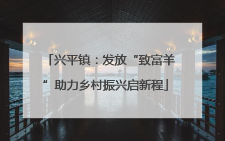 兴平镇：发放“致富羊”助力乡村振兴启新程