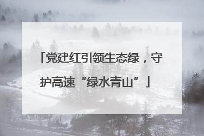 党建红引领生态绿，守护高速“绿水青山”