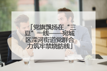 党旗飘扬在“三夏”一线——宛城区溧河街道党群合力筑牢禁烧防线