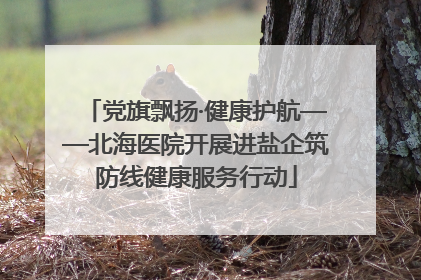 党旗飘扬·健康护航——北海医院开展进盐企筑防线健康服务行动