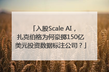 入股Scale AI，扎克伯格为何豪掷150亿美元投资数据标注公司？