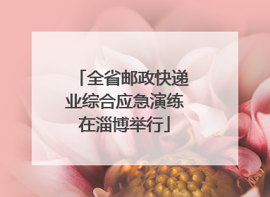 全省邮政快递业综合应急演练在淄博举行