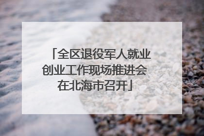 全区退役军人就业创业工作现场推进会在北海市召开