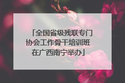 全国省级残联专门协会工作骨干培训班在广西南宁举办