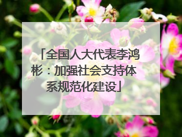 全国人大代表李鸿彬：加强社会支持体系规范化建设