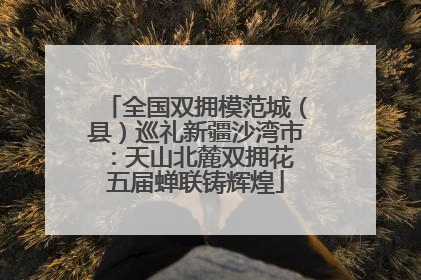 全国双拥模范城（县）巡礼新疆沙湾市：天山北麓双拥花 五届蝉联铸辉煌