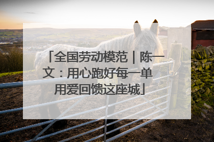 全国劳动模范｜陈一文：用心跑好每一单 用爱回馈这座城